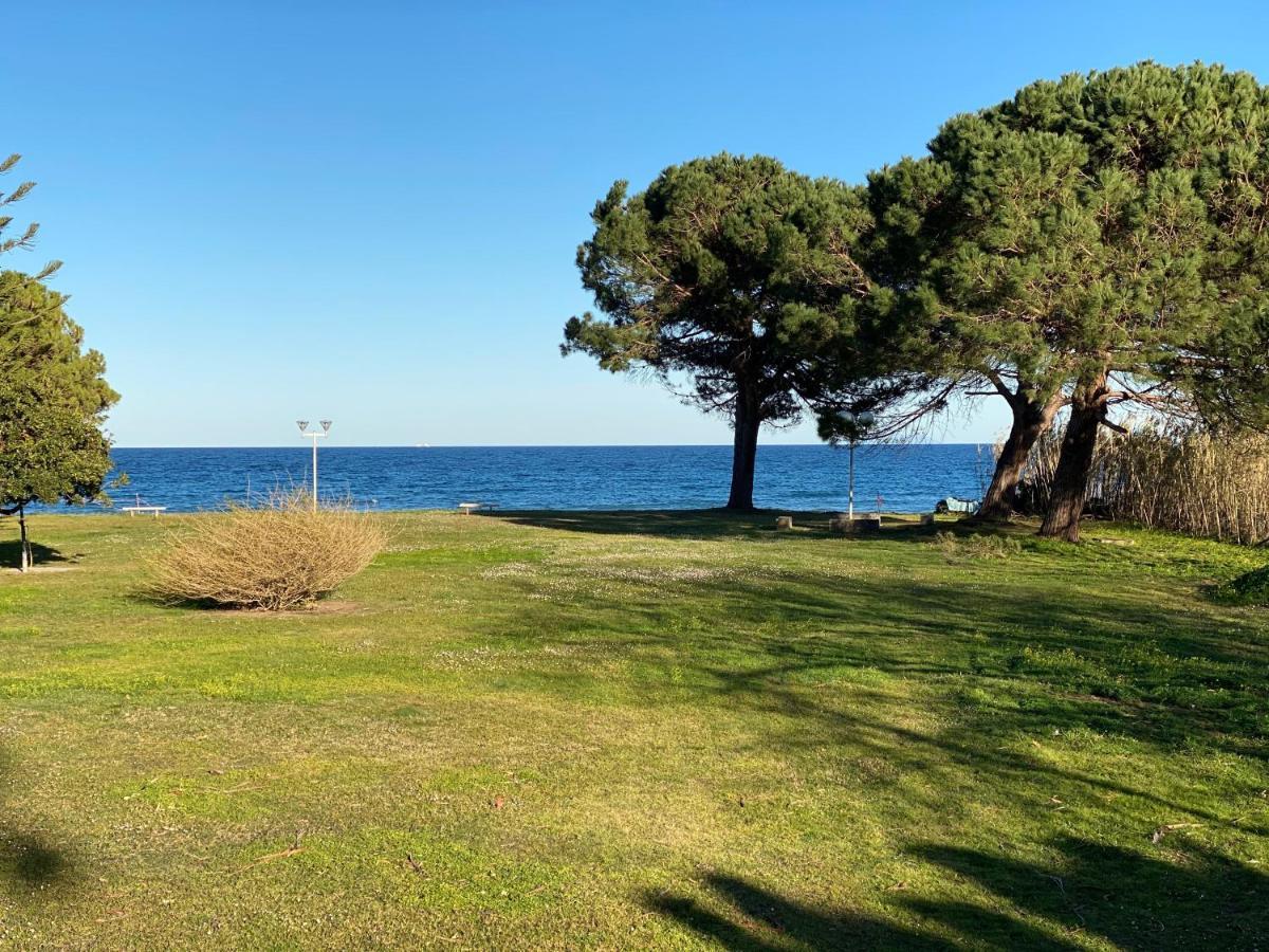 Residence Santa Lucia, Studio Avec Piscine , Vue Mer Et Pied Dans L'Eau , Moriani-Plage エクステリア 写真